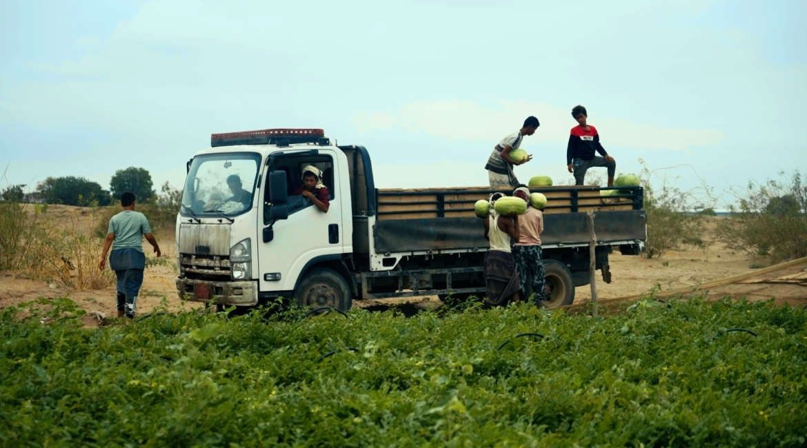 Tawakkol Karman Foundation revives an abandoned farm in Lahj